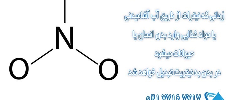 ارتباط مستقیم نیترات و نیتریت