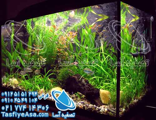 قیمت فیلتر اسمز معکوس تصفیه آب خانگی آکواریوم aquarium