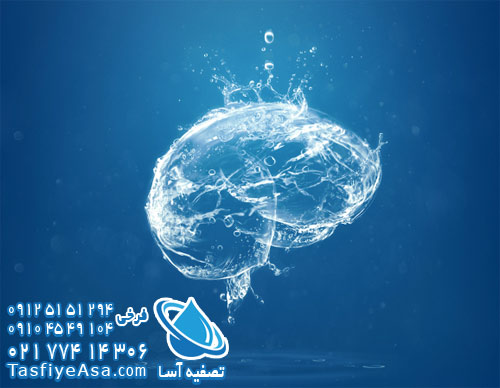 آب آشامیدنی قلیایی و بافت سلول های مغزی